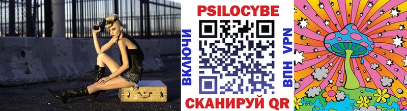 закладки  Киренск  Галлюциногенные грибы Psilocybine cubensis 